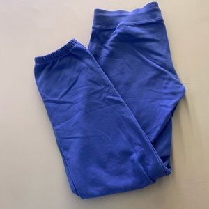 Aerie Blue Sweatpants
